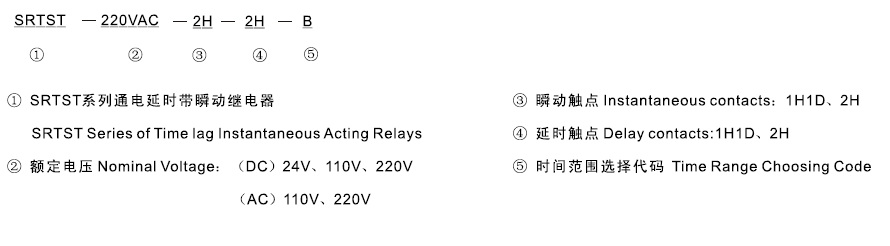 SRTST-110VDC-2H-2H-D型號及其含義